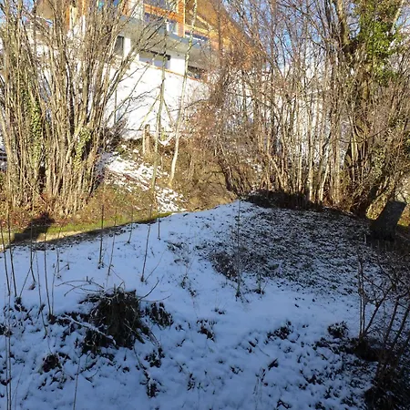 Sans Nom By Interhome Κρανς Μοντάνα