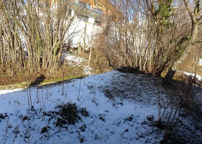 Sans Nom By Interhome Κρανς Μοντάνα